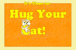 Hug your cat!