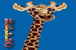 Hello (Giraffe)