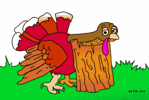 Turkey gets head chopped off