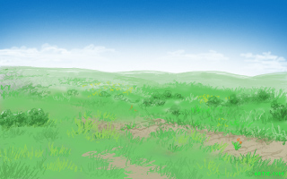 prairie picture