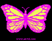 Butterfly by W. Kirk Kennedy and Artie Romero