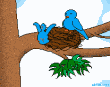 Mother's Day - Leaving the Nest