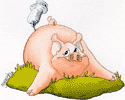 Stuck pig