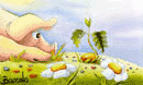 Pig and sprout