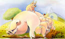 A Piglet on Top