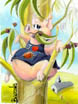 Pig in a Tree