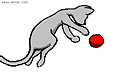 Cat and Ball by Don Mangan and Artie Romero