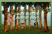 Happy Arbor Day