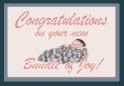 Congratulations on your new Bundle of Joy!