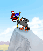 Eagle salutes, swatted by American flag (gif)