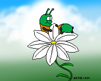 Caterpillar Eating Flower