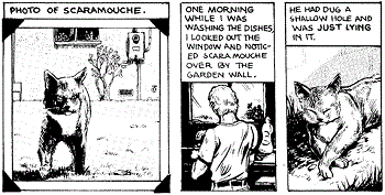 Doug Hansen's Scaramouche (comics)