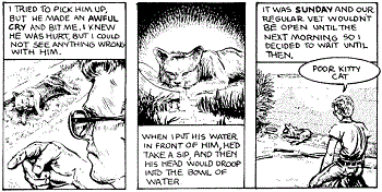 Doug Hansen's Scaramouche (comics)
