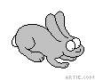 Gray bunny animation (gif)
