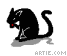 black cat animation gif