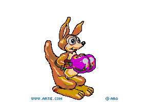 Sparky the boxing kangaroo