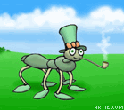 Irish ant animation